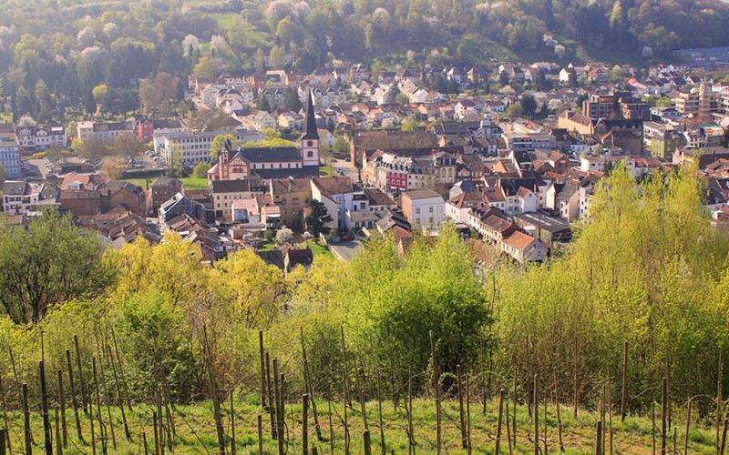 Ein Blick über die Stadt Merzig im Saarland