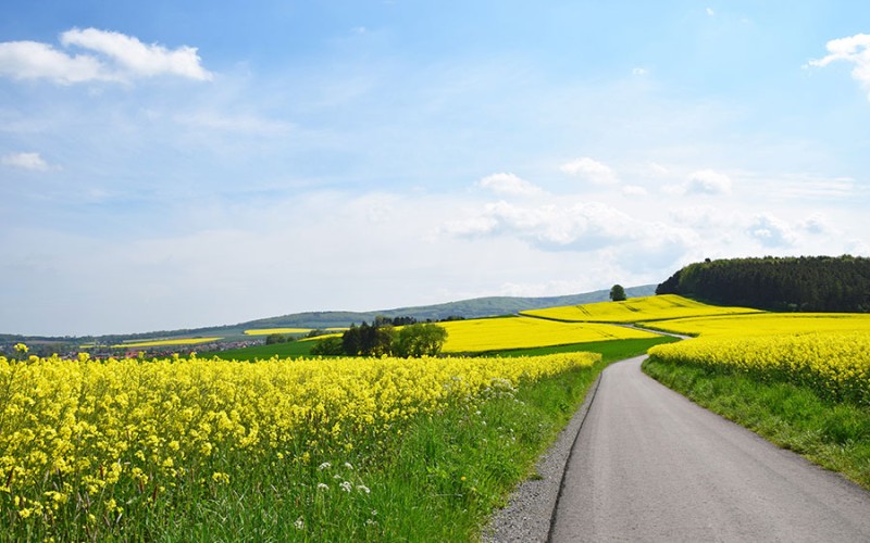 Niedersachsen reicht vom Meer bis an die Berge