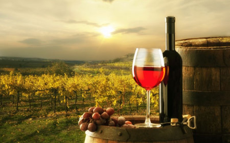 Straußen- und Besenwirtschaften findet man in Weinbaugebieten