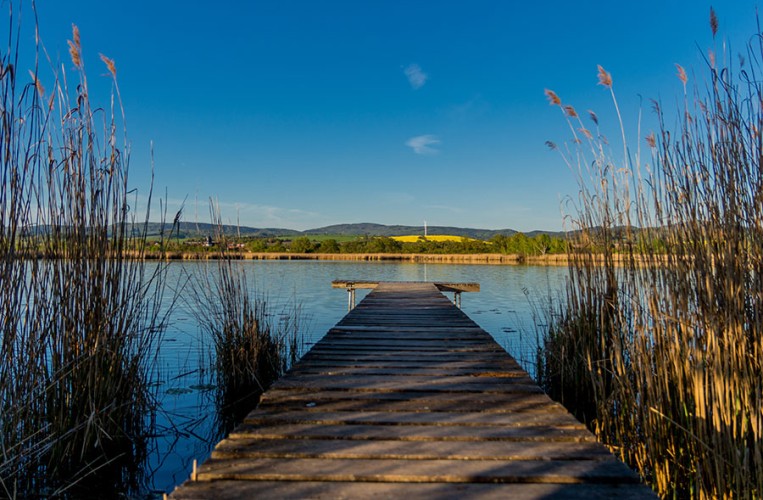 Das Naturschutzgebiet Breitunger Seen