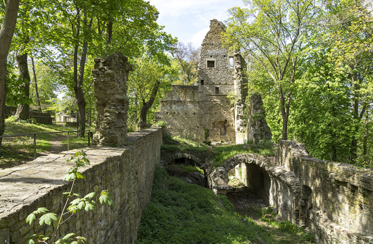 Im Kloster Disibodenberg lebte die heilige Hildegard von Bingen
