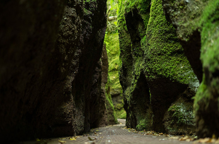 Die engste Stelle der Drachenschlucht bei Eisenach