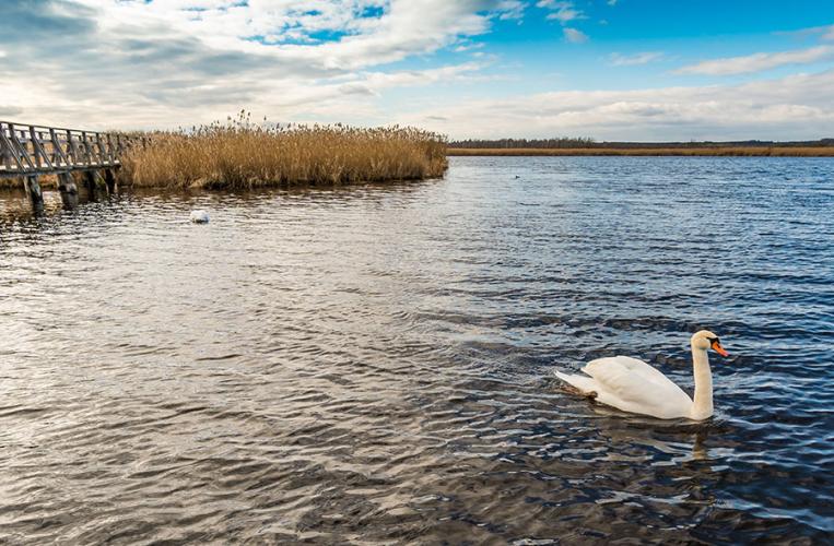 Bad Buchau liegt am Federsee - dort sind auch die Pfahlbauten