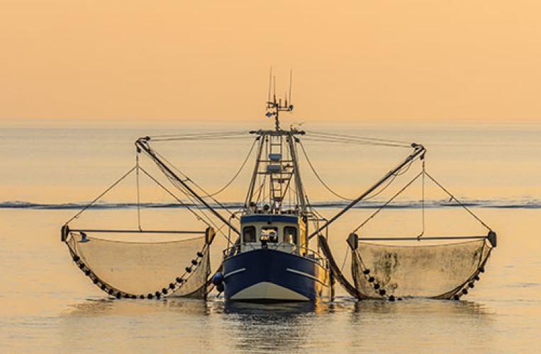 Ein einmaliges Erlebnis ist die Fahrt mit einem Fischkutter