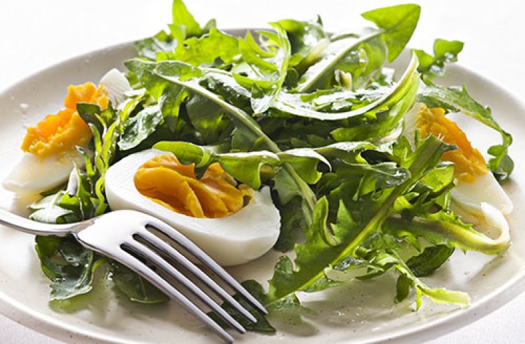 Spezialität vom Kaiserstuhl - Löwenzahnsalat