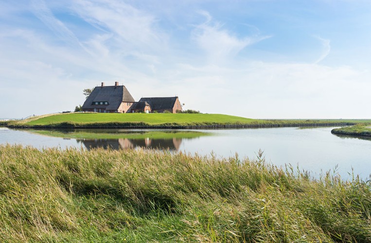 Warft auf Hallig Hooge in der Ferienregion Nordsee