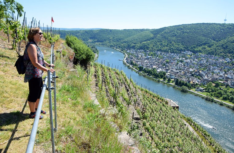 Eine Wandernung rund um Koblenz bietet herrliche Ausblicke 