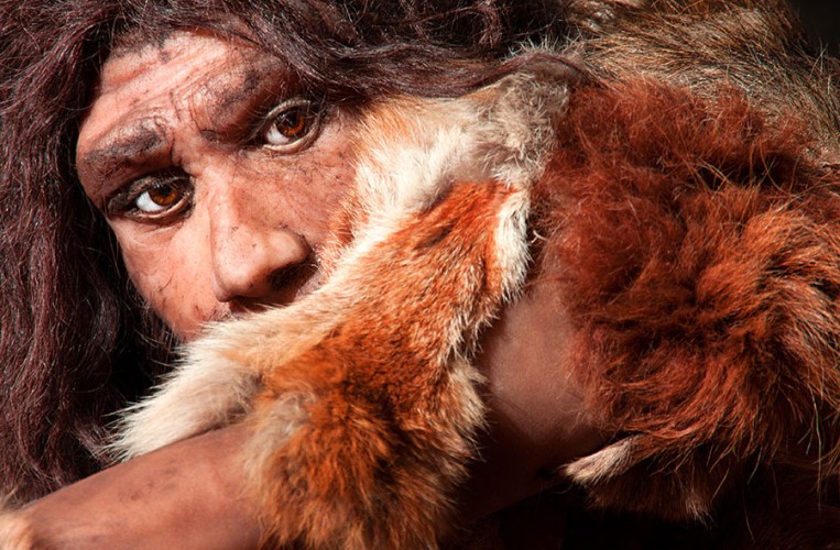 Mehr über die faszinierende Kultur der Neanderthaler erfährt man im Museum in Mettmann