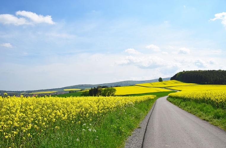 Niedersachsen reicht vom Meer bis an die Berge