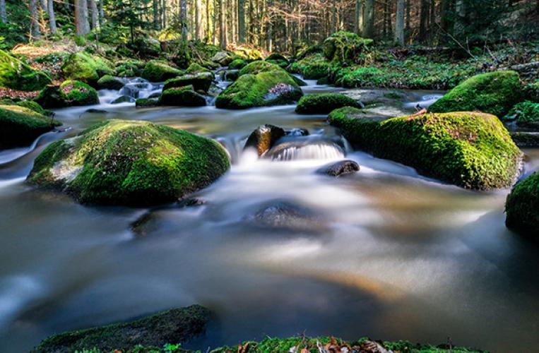 Otterbach