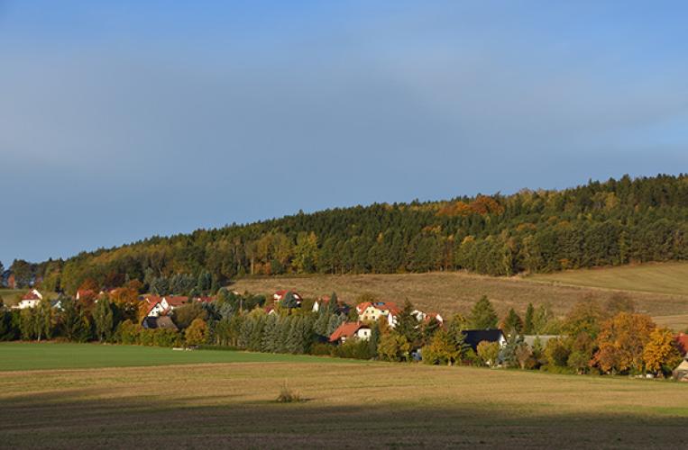 Heidenau