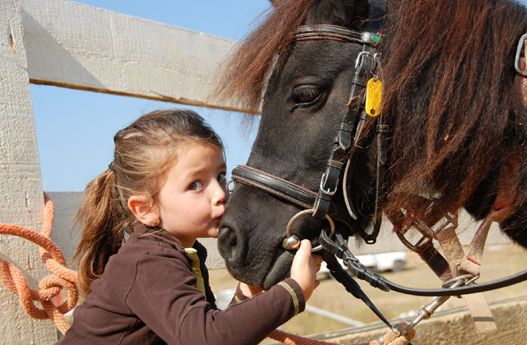 Welches kleine Mädchen liebt keine Pferde?