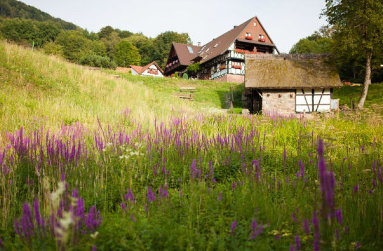 Straubenhofmühle Sasbachwalden