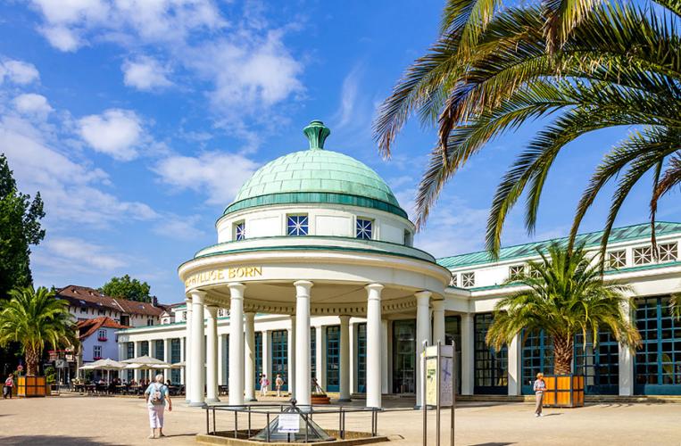 Im Zentrum von Bad Pyrmont  befindet sich der Kurpark mit Palmengarten