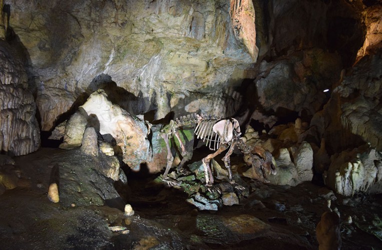 Bärenhöhle