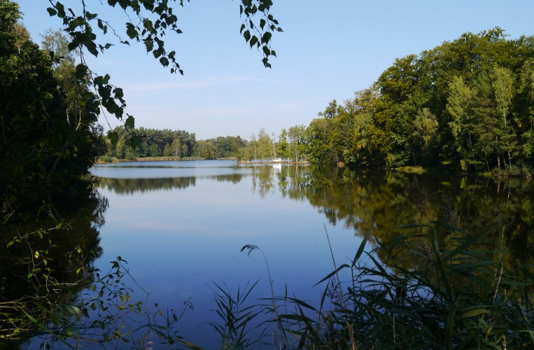 Kulturlandschaftsmuseum "Wermsdorfer Wald"