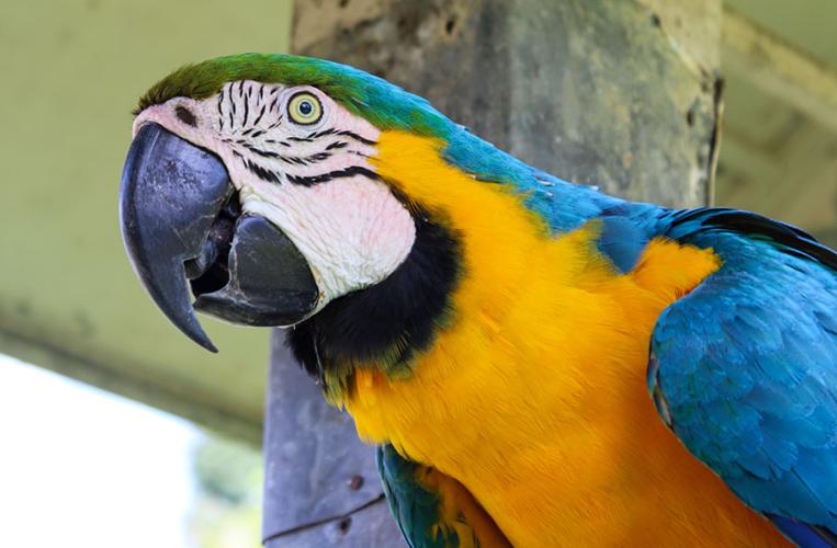 Tierpark Herborn