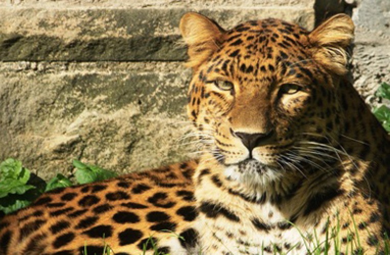 Zoo Stralsund