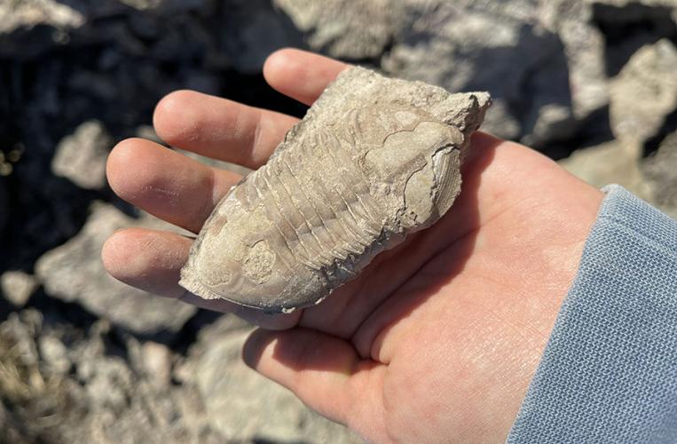 Fossiliensteinbruch Schamhaupten