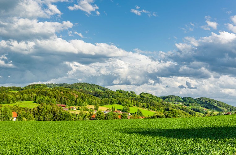 Die Landschaft rund um Freying bezaubert im Sommer wie im Winter