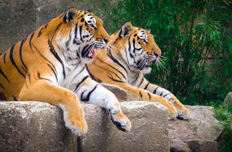 Erlebniszoo Hannover