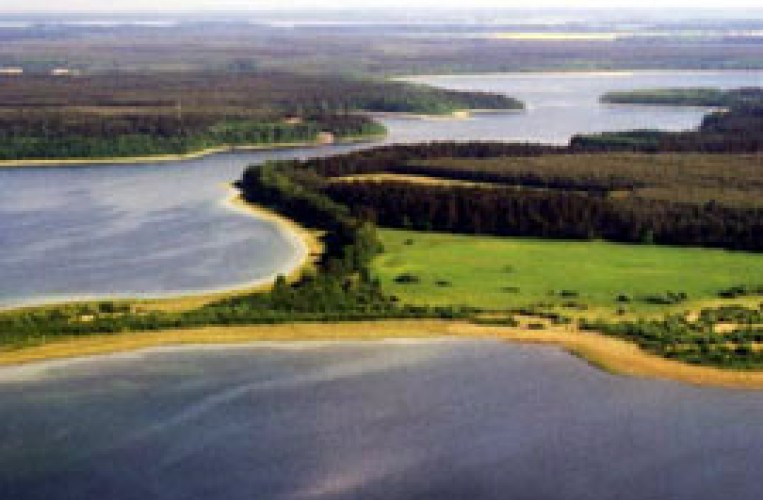 Naturpark Nossentiner Schwinzer Heide
