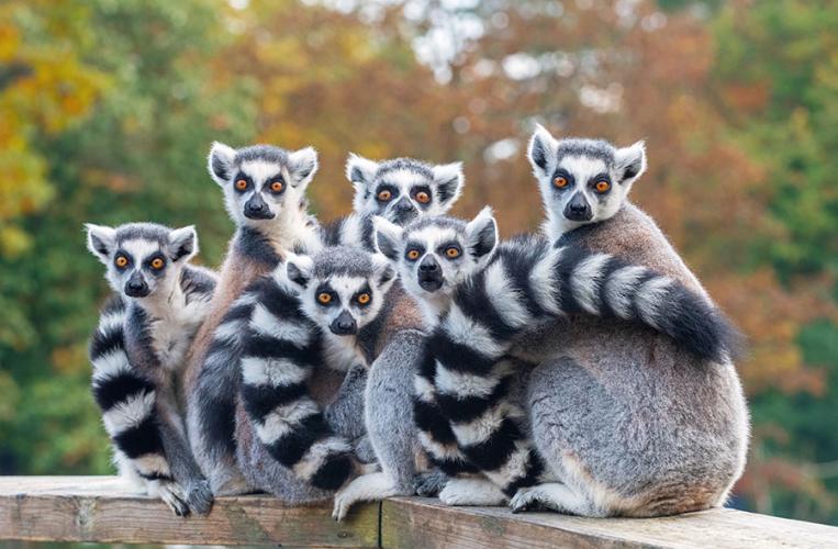 Zoo Augsburg