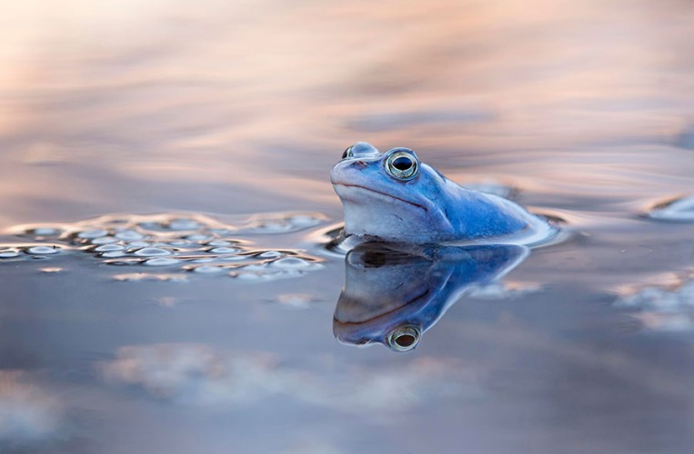 Biosphärenreservat Mittelelbe