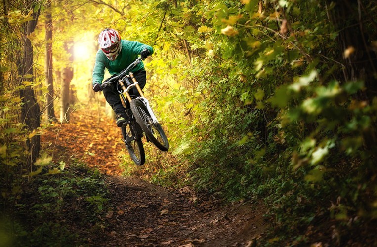 Bikepark Schöneck
