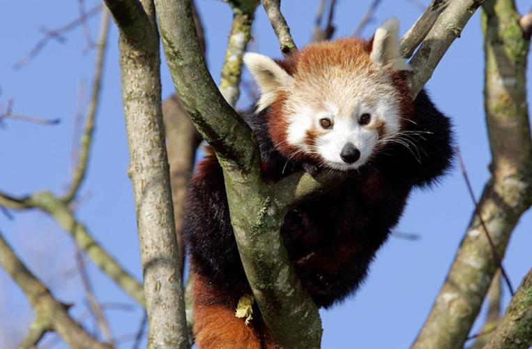 Tierpark Hellabrunn