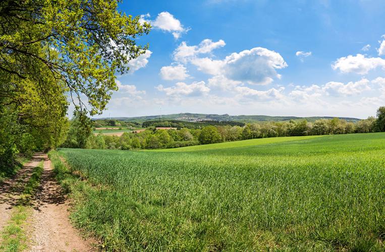 Ottweiler liegt wunderschön im Saarland