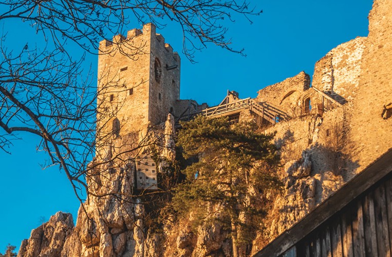  Burgruine Weißenstein 