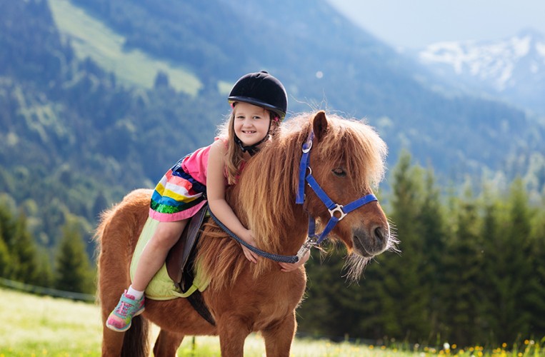 Reiten und Bauernhofbesuch auf dem Hofgut Dürrenbühl