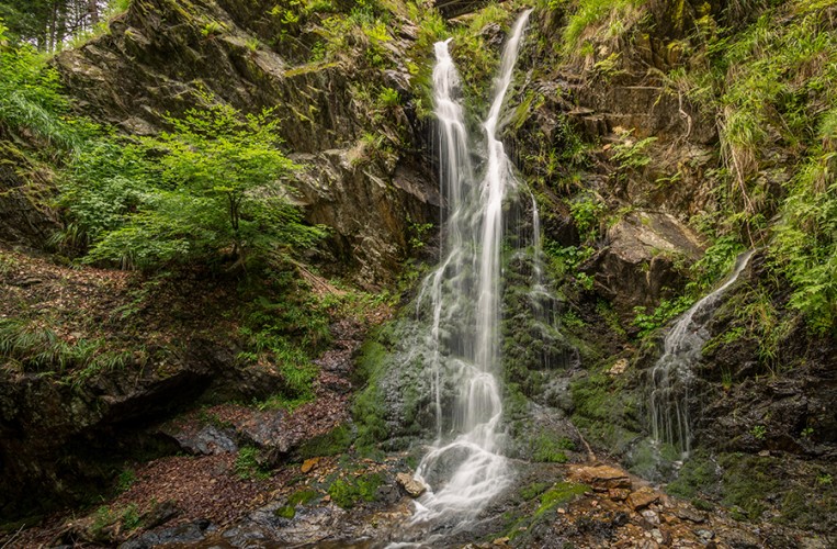 Genießerpfad Wasserfallsteig