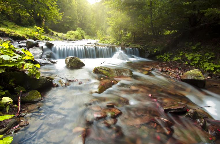 Naturpark Soonwald Nahe