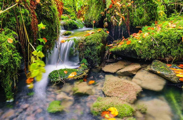 Silberbachtal