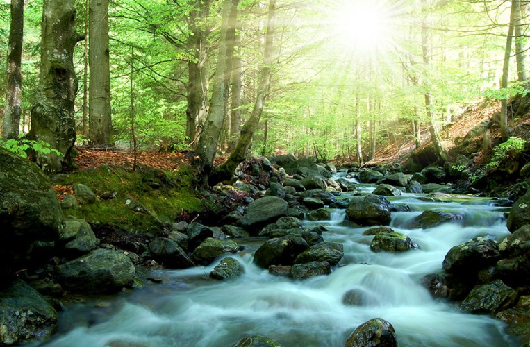 Ferienregion Bayerische Wald - El Dorado für Naturliebhaber