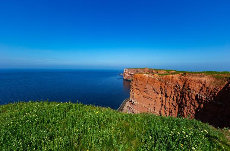 Roter Felsen und sattgrünes Gras ist typisch für Helgoland