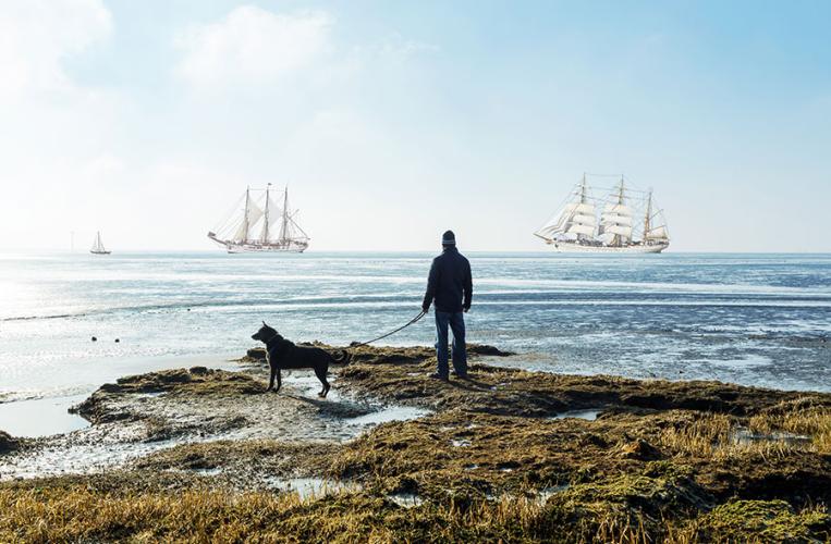 Der Einlauf der Großsegler in die Häfen von Bremerhaven