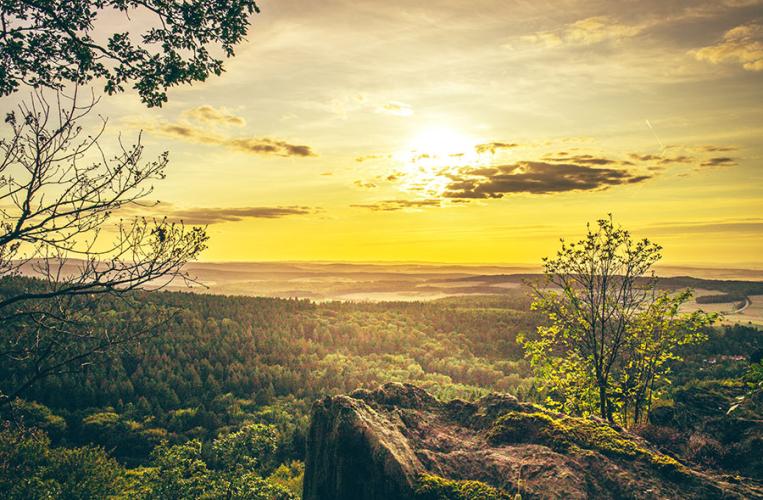 Blick über die Wälder des Taunus