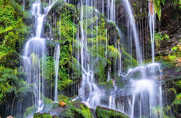 Einen Fußmarsch entfernt sind die Todtnauer Wasserfälle