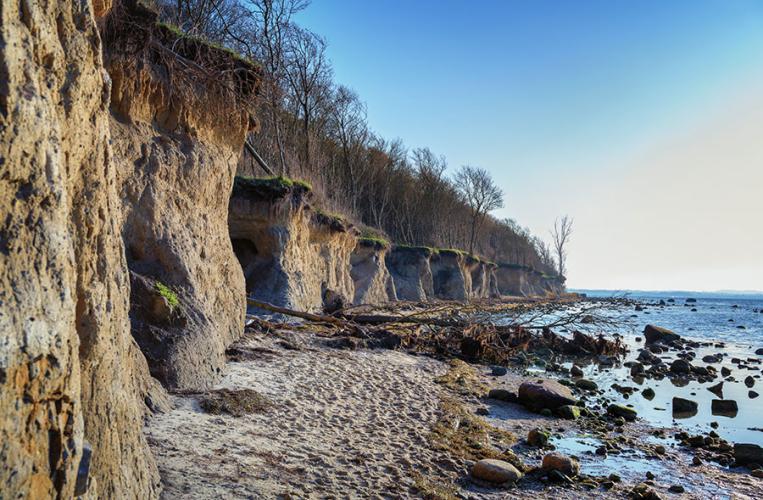 Ein Naturrlebnis ist der Tagesausflug auf die Insel Poel