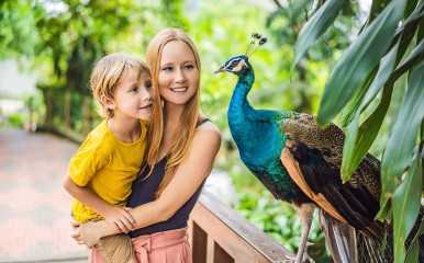 Exotische Tiere aus nächster Nähe bestaunen, das ermöglichen Zoos und Tierparks