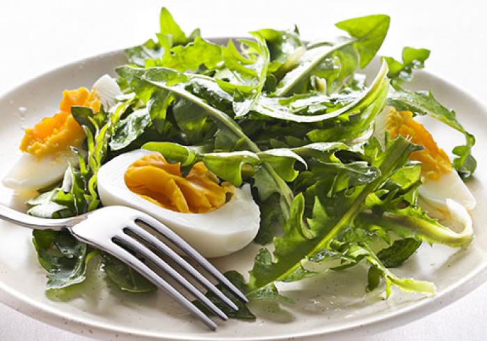 Löwenzahnsalat