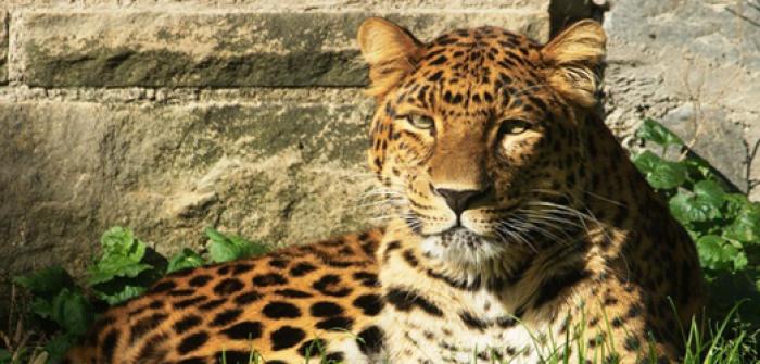 Zoo Stralsund