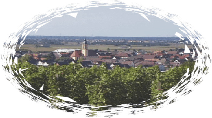 Weingut Weber-Link